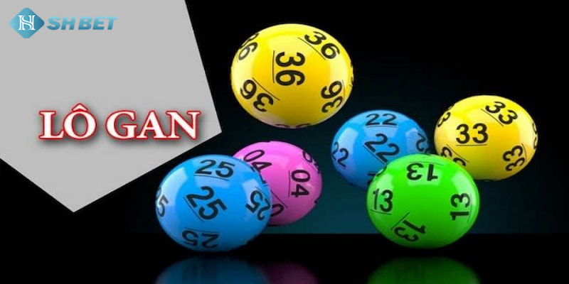 Banner www.nisttravel.vn