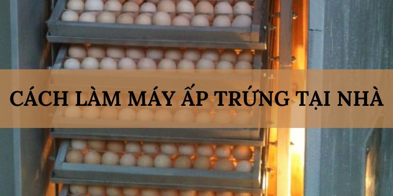 Banner www.nisttravel.vn