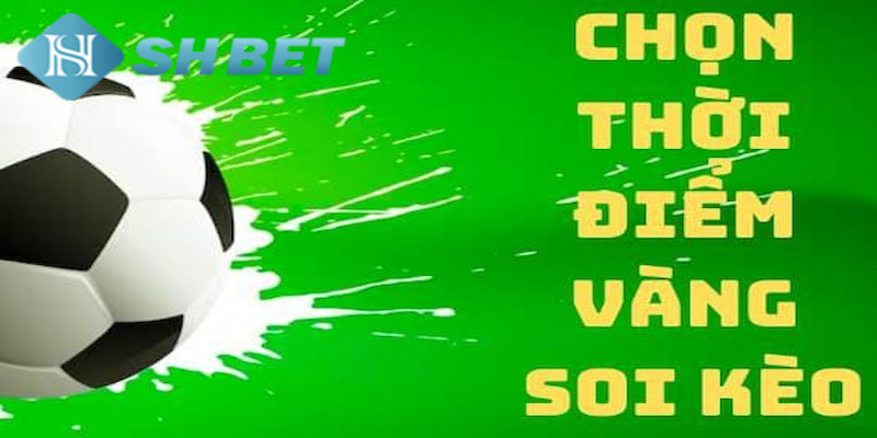 Banner www.nisttravel.vn