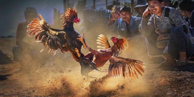 Banner www.nisttravel.vn