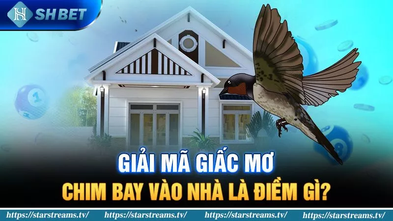 Banner www.nisttravel.vn