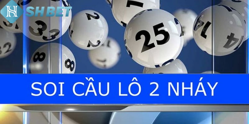 Banner www.nisttravel.vn