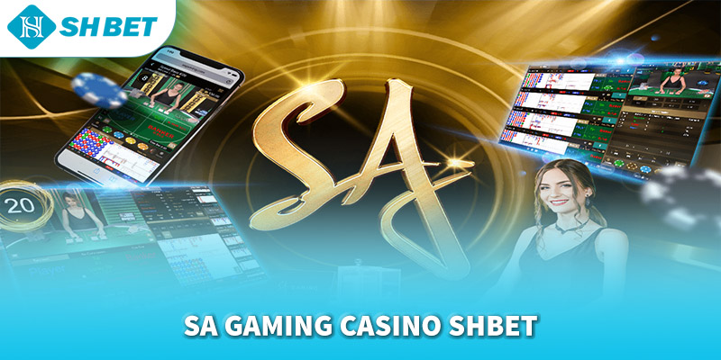 Banner www.nisttravel.vn