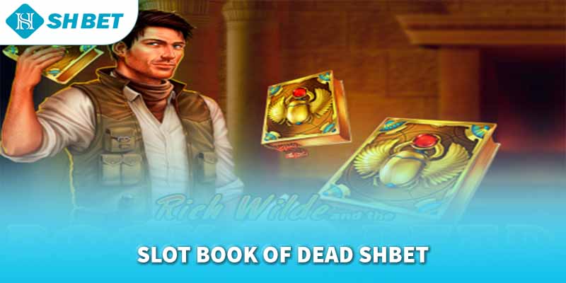 Banner www.nisttravel.vn